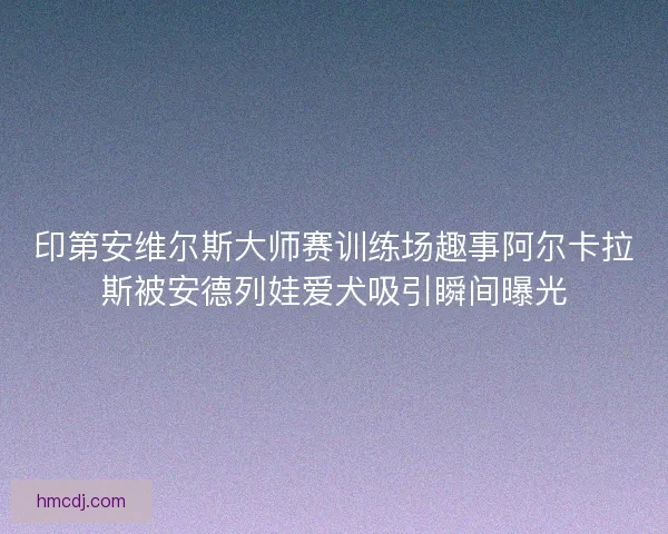 印第安维尔斯大师赛训练场趣事阿尔卡拉斯被安德列娃爱犬吸引瞬间曝光